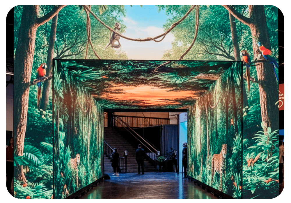 TUNEL DE LED ROBERTO BESSA 2